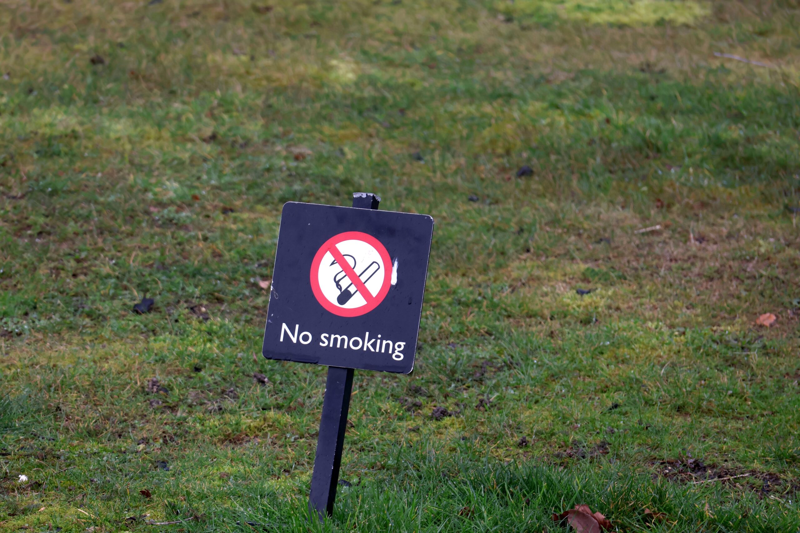 Cancer Prevention: Everyday Habits That May Help Lower Your Risk
